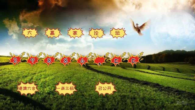 4949澳门开奖结果查询|标题释义解释落实|0.280084475