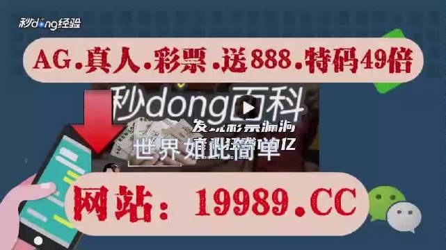2024年澳门今晚开码料|词语释义解释落实|0.222375997