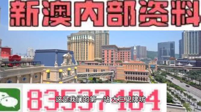 2024澳门正版精准资料|精选解释解析落实