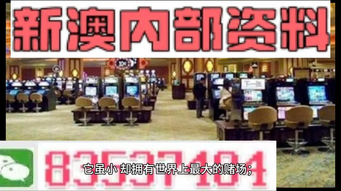 2024澳门精准正版免费资料大全|精选解释解析落实